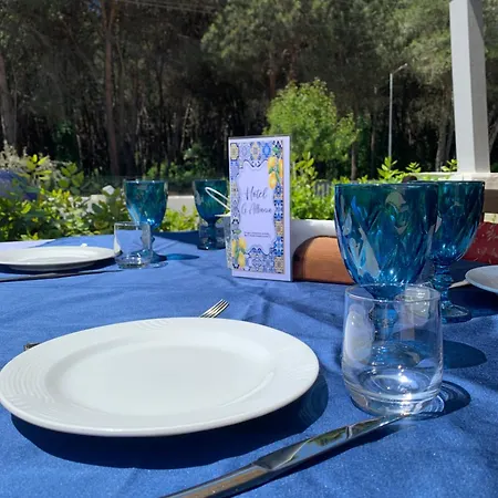 Hostel Garden Albania