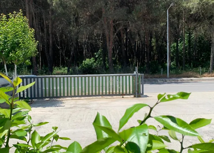 Garden Albania Hostel *