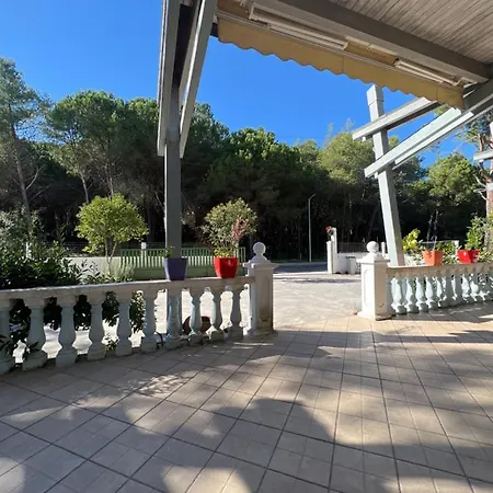 Hostel Garden Albania Golem (Tirana)