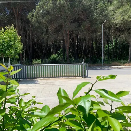 Garden Albania Hostel *