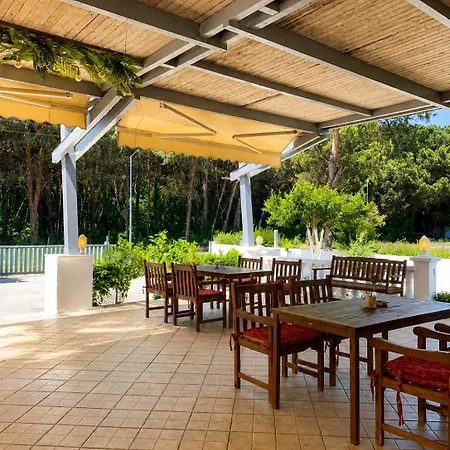 Garden Albania Auberge de jeunesse Golem (Tirana)
