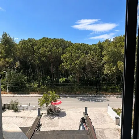 Garden Albania * Golem (Tirana)